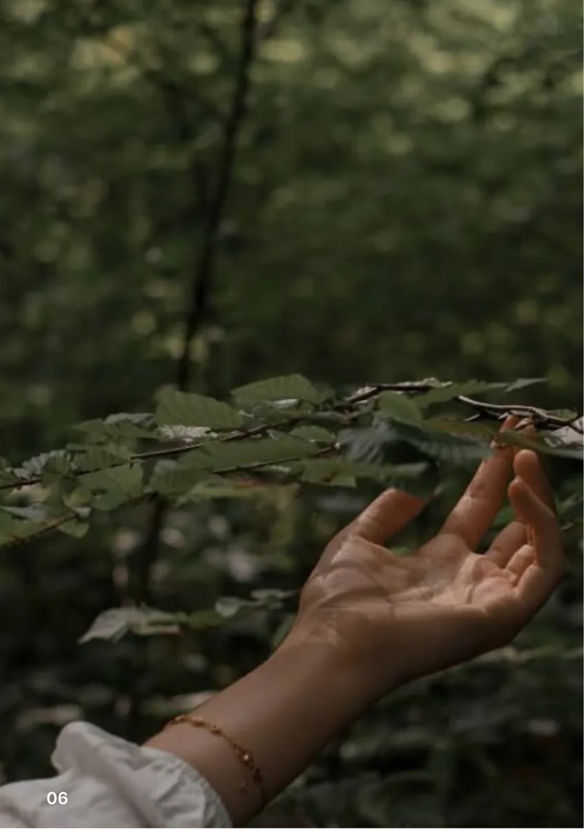 بناء المجتمع